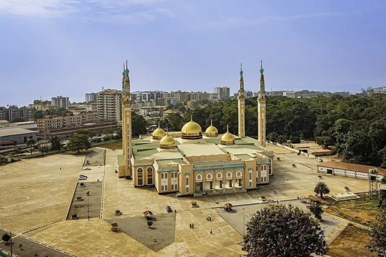 صورة من غينيا
